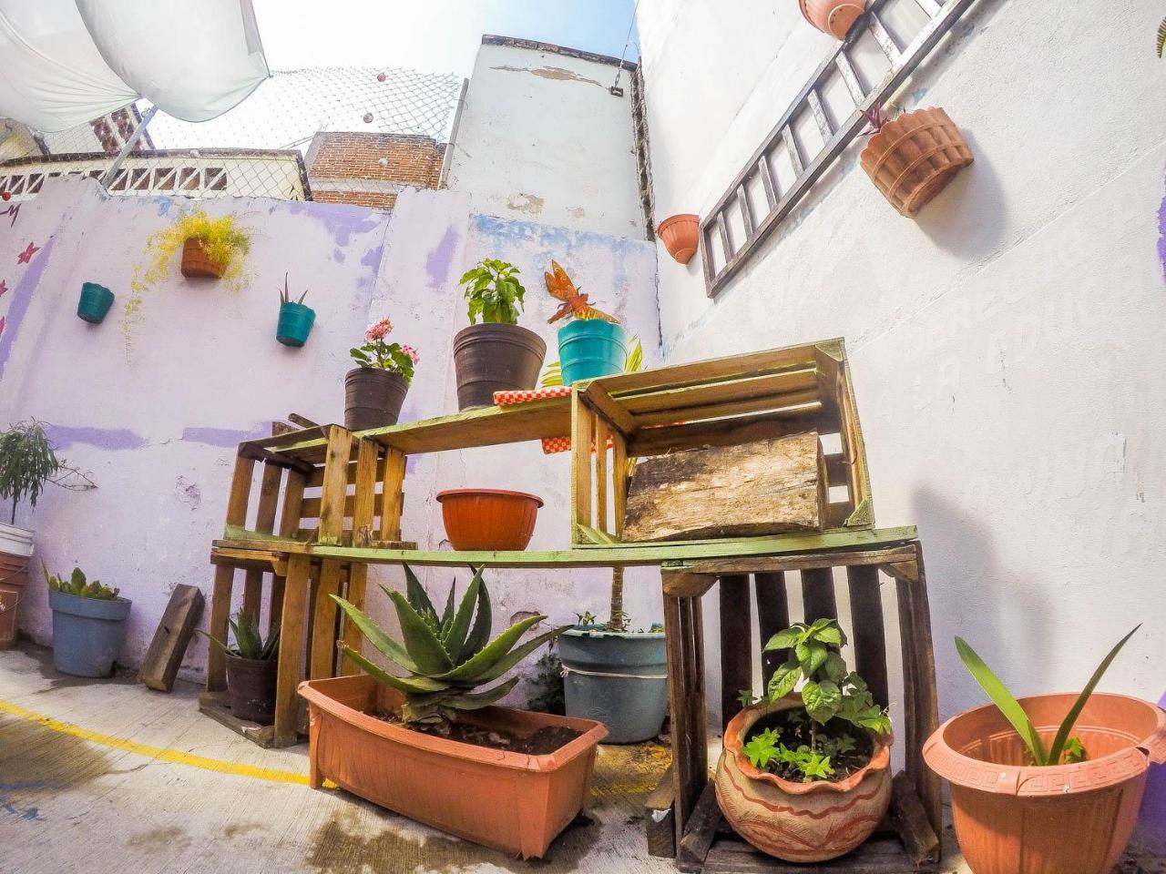 Casa Papa Chango San Cristóbal de Las Casas Extérieur photo